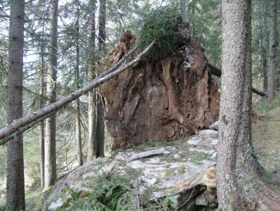 post-6789-0-24825700-1391986540_thumb.jp