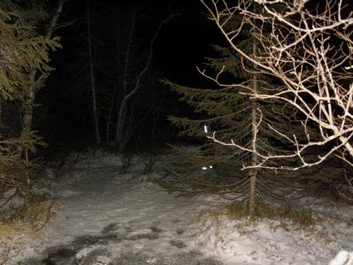 post-6789-0-50025200-1392843122_thumb.jp