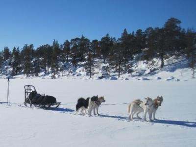 post-7299-0-47284600-1393356753_thumb.jp