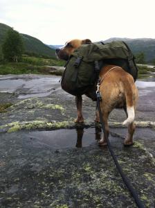 post-8042-0-01939300-1392233217_thumb.jp