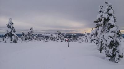 post-8488-0-88226600-1392902502_thumb.jp