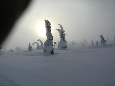 post-9055-0-12670200-1391889696_thumb.jp