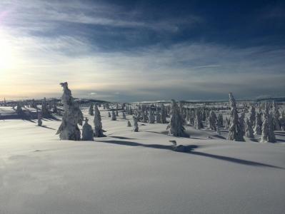 post-9055-0-34107600-1391889690_thumb.jp