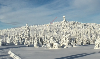 post-9055-0-48831400-1391891145_thumb.pn