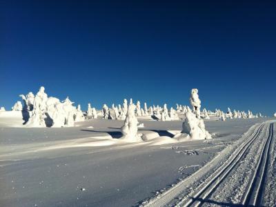 post-9060-0-63538200-1393334296_thumb.jp