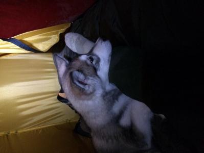 post-9218-0-80723500-1391708566_thumb.jp