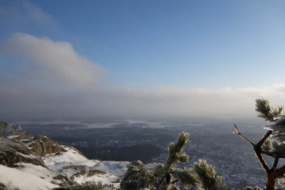 post-10468-0-29623400-1424192942_thumb.j