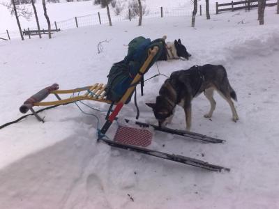 post-1047-0-89994200-1424371310_thumb.jp