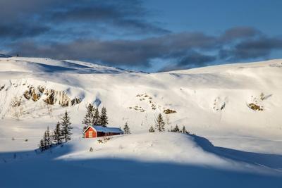 post-12127-0-06636300-1423245614_thumb.j