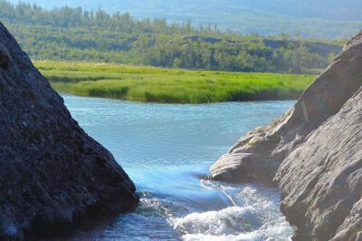 post-12149-0-10928300-1423841808_thumb.j