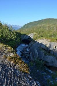 post-12149-0-36838400-1423841893_thumb.j