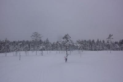 post-12580-0-74001800-1422813825_thumb.j