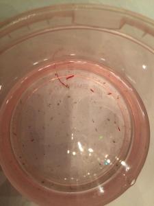 post-13251-0-69507700-1424368597_thumb.j