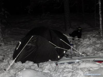 post-13361-0-26840900-1422866900_thumb.j