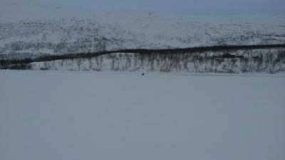 post-14074-0-75501900-1424639951_thumb.j