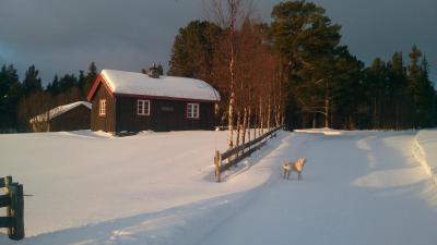 post-14478-0-79557100-1424614497_thumb.j