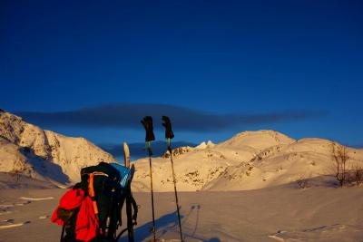 post-14504-0-32640400-1422804293_thumb.j