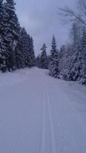 post-14924-0-41711300-1422988095_thumb.j