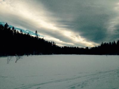 post-14924-0-87082700-1423771219_thumb.j