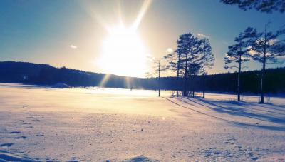 post-15539-0-90421900-1423420916_thumb.j