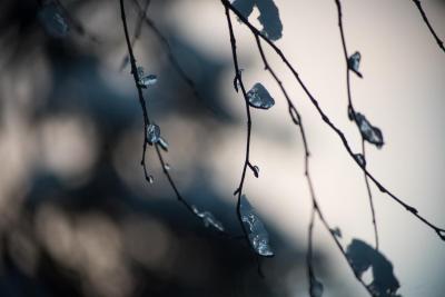 post-15624-0-45887100-1423163286_thumb.j