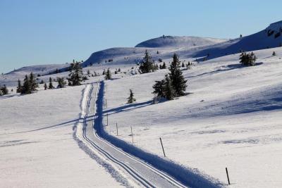 post-4016-0-43798900-1423935946_thumb.jp