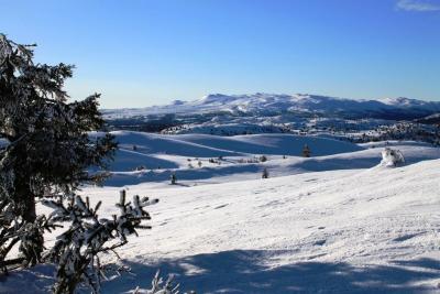 post-4016-0-53848700-1423935949_thumb.jp