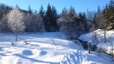 post-4220-0-02297700-1423069301_thumb.jp