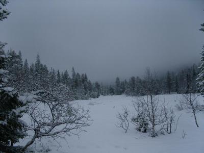 post-6789-0-07953000-1423921491_thumb.jp