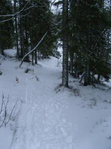 post-6789-0-21798400-1423409892_thumb.jp