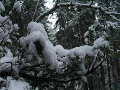 post-6789-0-79454000-1423921523_thumb.jp