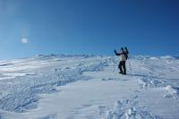 post-10401-0-83858900-1363763161_thumb.j