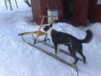 post-1047-0-24284500-1363996528_thumb.jp