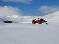 post-4220-0-34308900-1362923232_thumb.jp