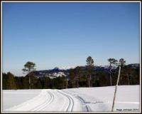 post-4444-0-60454300-1363465163_thumb.jp