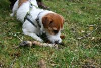 post-4607-0-48045000-1362385202_thumb.jp