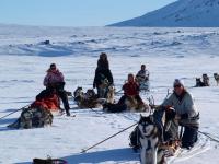 post-7472-0-41409400-1363292983_thumb.jp