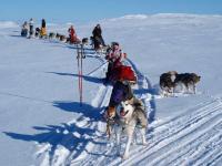 post-7472-0-94333500-1362667815_thumb.jp