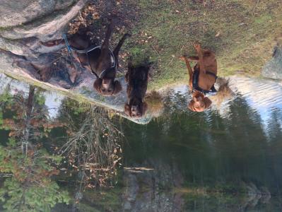 post-12399-0-44029800-1394232123_thumb.j