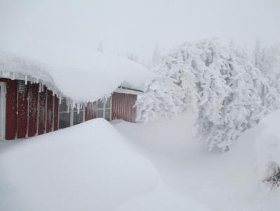 post-13095-0-36482300-1394056191_thumb.j