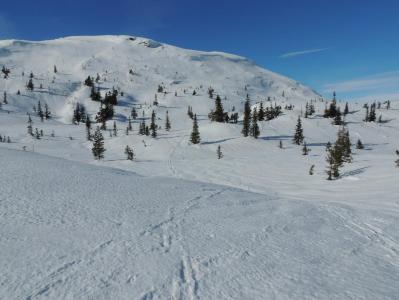 post-1310-0-27282700-1395043477_thumb.jp