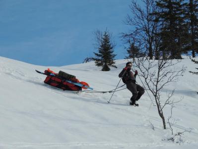 post-1310-0-33373900-1395043915_thumb.jp