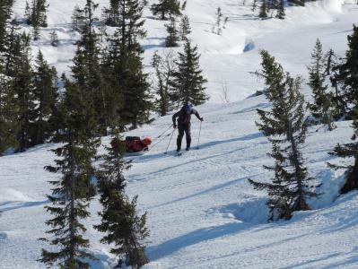 post-1310-0-83366600-1395043800_thumb.jp