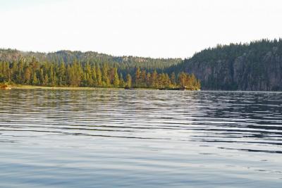 post-14401-0-99072400-1395863928_thumb.j