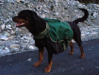 post-14425-0-54929900-1396216673_thumb.j