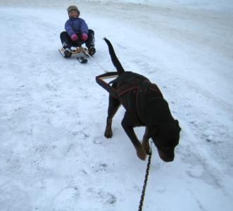 post-14425-0-74878000-1396284656_thumb.j