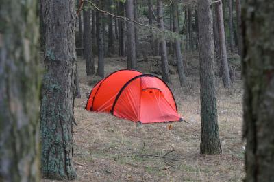 post-1735-0-42003900-1394365845_thumb.jp