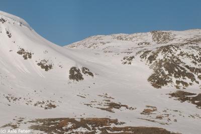 post-2690-0-39189300-1394199609_thumb.jp