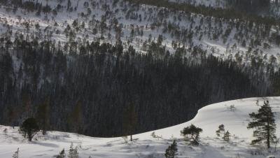 post-3730-0-33216300-1395161251_thumb.jp