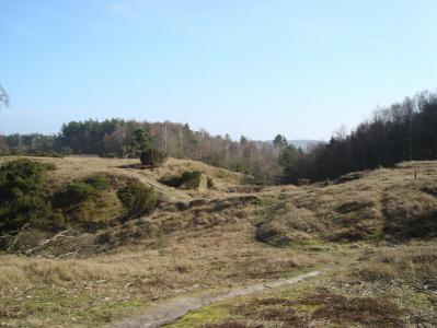 post-5095-0-03210000-1394568721_thumb.jp